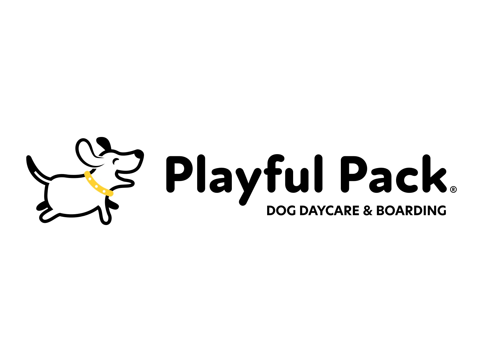 Dog Daycare And Dog Boarding In Charleston SC Playful Pack dog-daycare-and-dog-boarding-in-charleston-sc-playful-pack